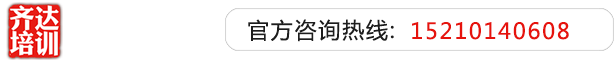 干屁视频33齐达艺考文化课-艺术生文化课,艺术类文化课,艺考生文化课logo